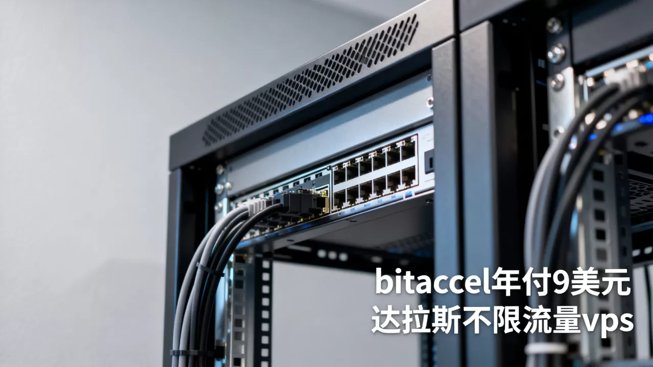 bitaccel年付9美元值吗,达拉斯不限流量vps怎么样 bitaccel年付9美元值吗,达拉斯不限流量vps怎么样