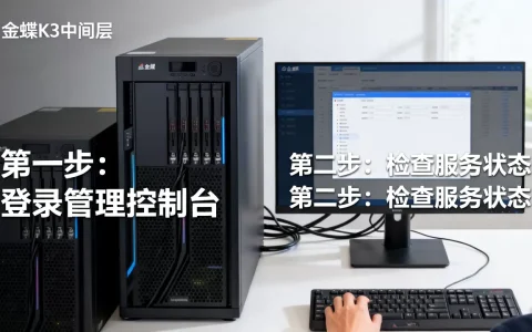 怎么快速查看金蝶K3中间层服务器，有哪些方法？