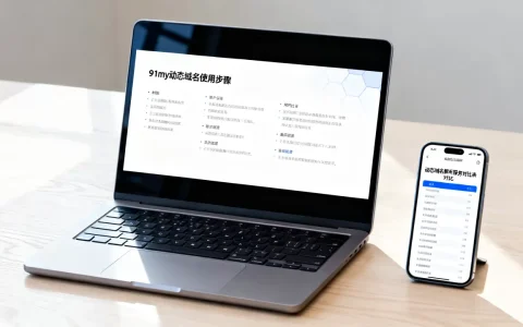 91my动态域名怎么用，动态域名解析服务哪个好？
