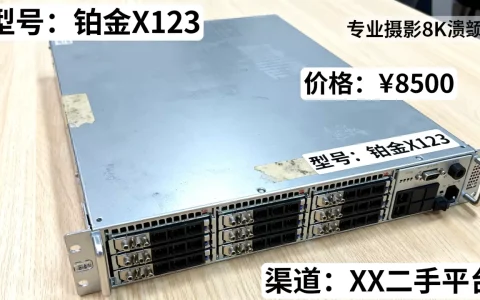 二手铂金服务器到底多少钱一台，哪里买最便宜？
