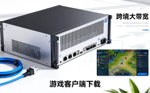 出海游戏客户端下载跨境大带宽怎么选，大带宽服务器哪家好