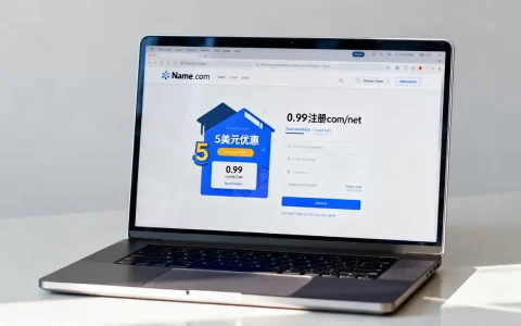 Name.com送5美元吗，0.99注册com/net咋弄？