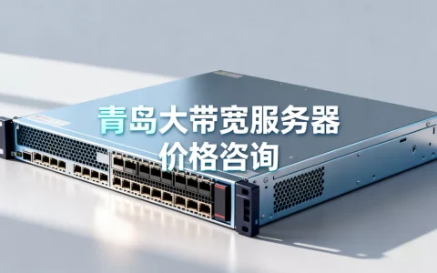青岛大带宽服务器价格找谁问更直接？,服务器报价多少钱