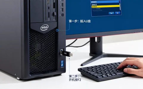 英特尔服务器怎么进BIOS设置U盘启动，U盘启动按哪个键