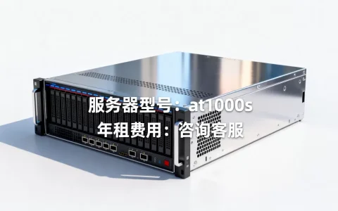 at1000s服务器多少钱一台，租用一年费用贵不贵？