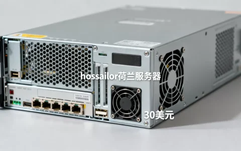 hostsailor荷兰30美元服务器划算吗，性能怎么样？