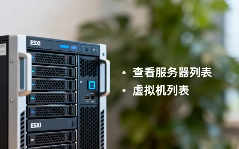 怎么查看ESXi开了哪些服务器，esxi怎么查看虚拟机列表