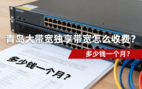青岛大带宽独享带宽怎么收费？，多少钱一个月？