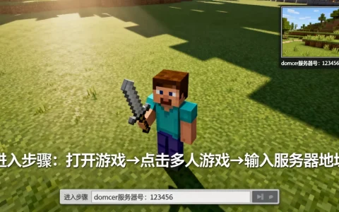 我的世界domcer服务器号是多少，怎么进入服务器？