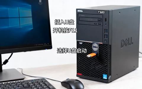 戴尔T320服务器如何用U盘装系统,安装步骤是什么？