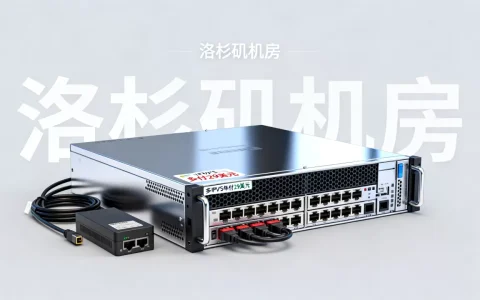 多IPVPS年付29美元靠谱吗，洛杉矶机房怎么样？