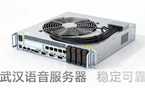 武汉语音服务器有哪些优势，哪个品牌更稳定可靠？
