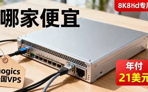 nogics法国VPS年付21美元值不值，哪家便宜？