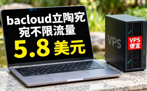 bacloud立陶宛不限流量5.8美元吗，哪家VPS便宜？