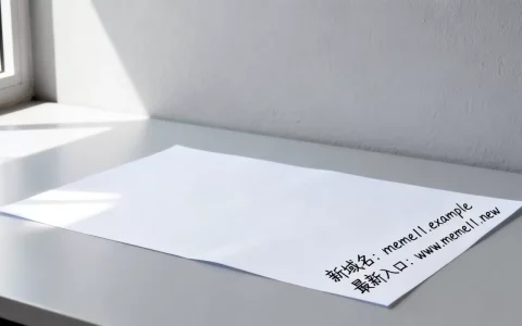 meme11的新域名是什么，最新入口地址在哪里