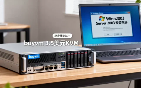 buyvm 3.5美元KVM能装Win2003吗，稳定吗