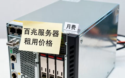 百兆服务器租用价格是多少，百兆服务器多少钱一个月