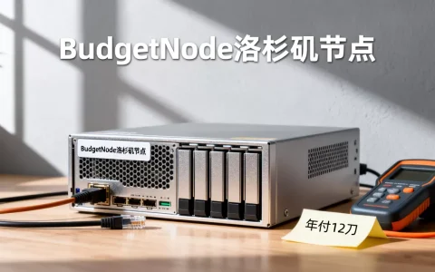 BudgetNode年付12刀洛杉矶值吗，便宜VPS哪家好？