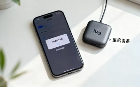 itag查找不可用怎么办，无法连接服务器原因？