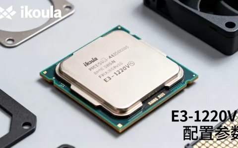 ikoula E3-1220V5配置怎么样，值得买吗？