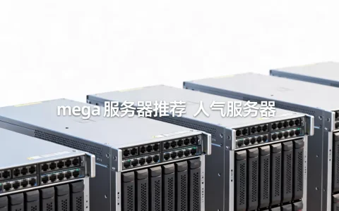 mega神奇宝贝服务器有哪些推荐，哪个服务器人气最高？