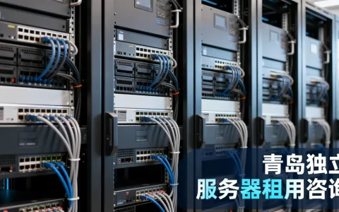 青岛独立服务器租用应该怎么联系，哪家最靠谱？