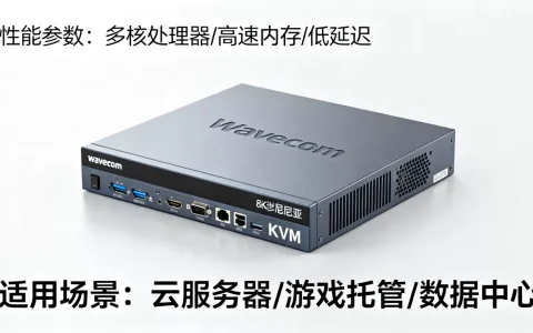 wavecom爱沙尼亚KVM主机性能如何，适合什么用途？