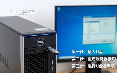 戴尔服务器重装U盘启动不了怎么办，怎么设置启动项？