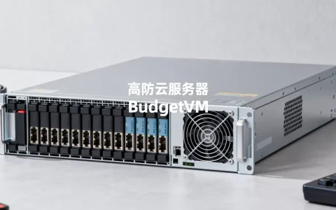 BudgetVM全新云服务器上线了吗，高防云服务器怎么选