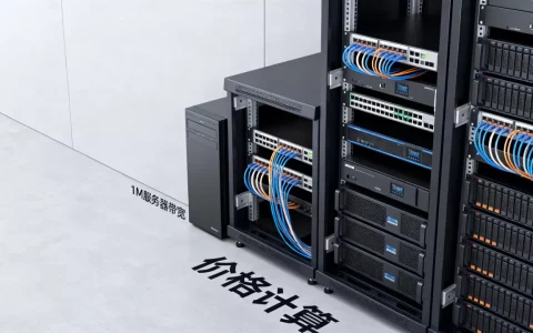 1m服务器带宽多少钱一个月，服务器带宽价格怎么算
