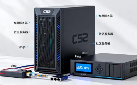CS2服务器都有哪些类型？，cs2服务器怎么选择延迟低
