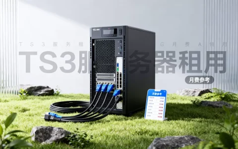 租TS3服务器一个月需要多少钱，哪家租用更便宜