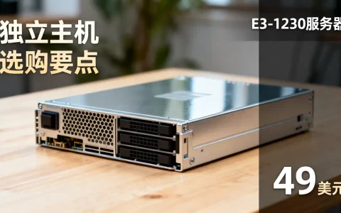 波特兰E3-1230服务器49美元值得买吗,独立主机怎么选