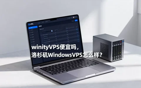 winityVPS便宜吗，洛杉矶WindowsVPS怎么样？