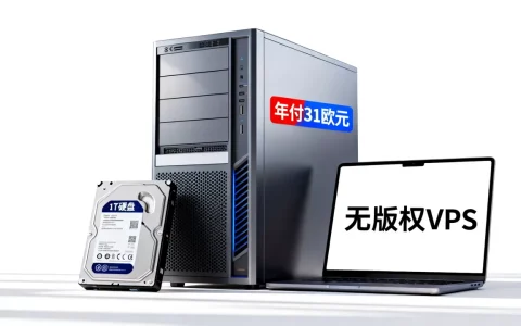 无版权VPS年付31欧元1T硬盘真的值吗，无版权VPS哪家更便宜
