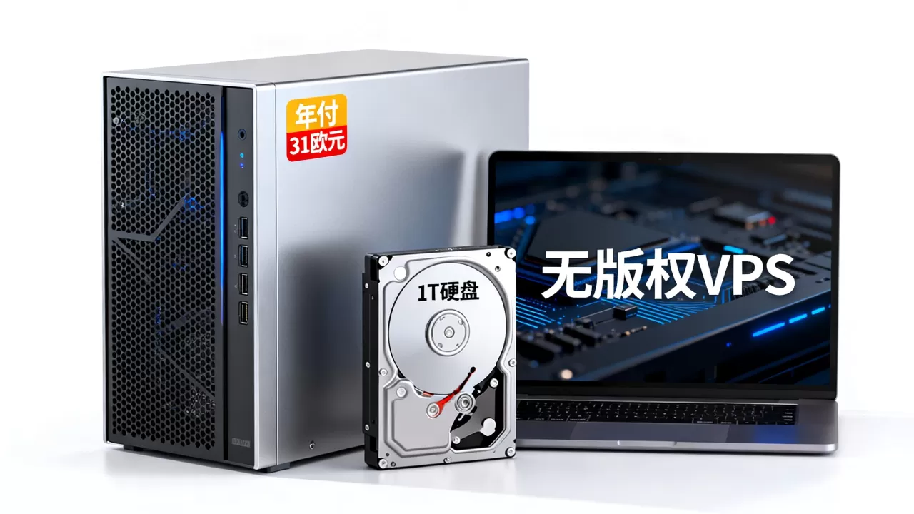 无版权VPS年付31欧元1T硬盘真的值吗,无版权VPS哪家更便宜 无版权VPS年付31欧元1T硬盘真的值吗,无版权VPS哪家更便宜