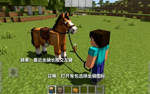 我的世界PE小游戏服务器坐骑怎么骑上去，手机版坐骑怎么召唤