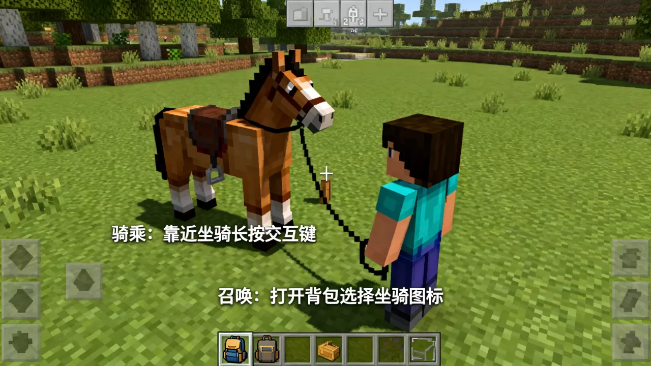 我的世界PE小游戏服务器坐骑怎么骑上去,手机版坐骑怎么召唤 我的世界PE小游戏服务器坐骑怎么骑上去,手机版坐骑怎么召唤