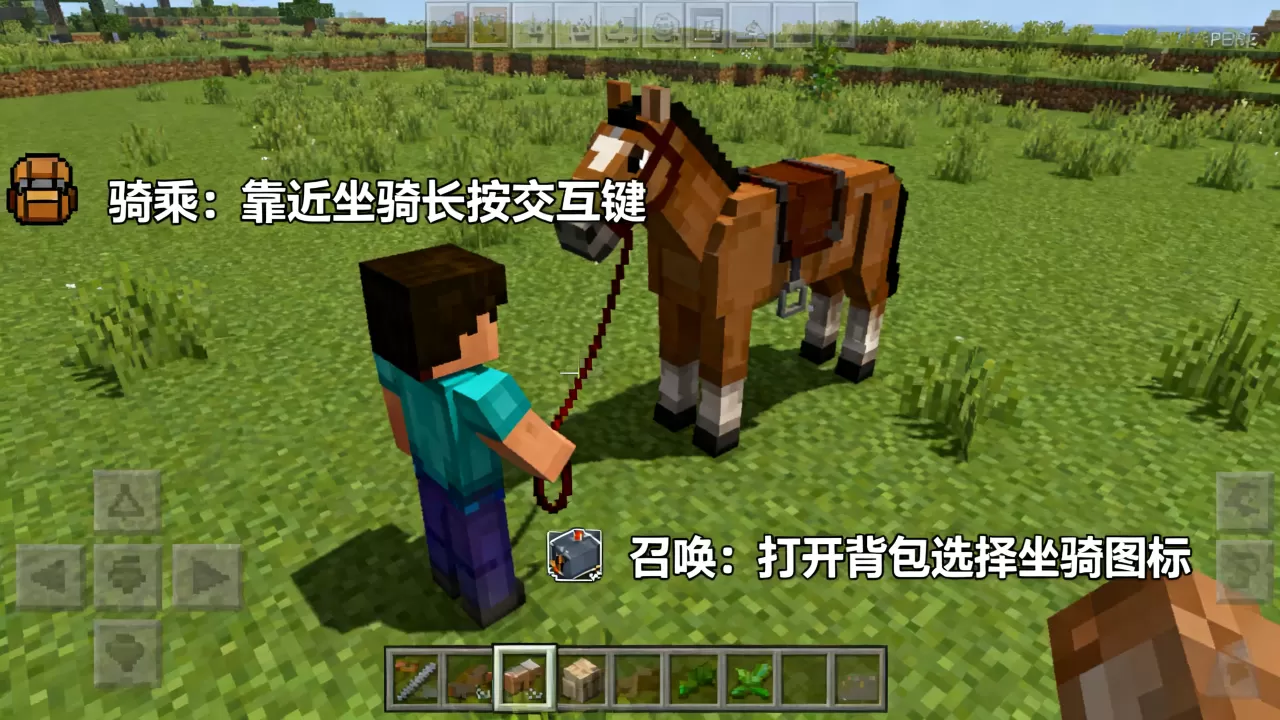 我的世界PE小游戏服务器坐骑怎么骑上去,手机版坐骑怎么召唤 我的世界PE小游戏服务器坐骑怎么骑上去,手机版坐骑怎么召唤
