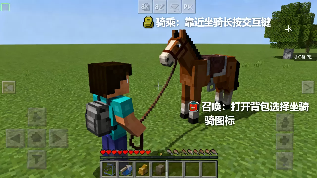 我的世界PE小游戏服务器坐骑怎么骑上去,手机版坐骑怎么召唤 我的世界PE小游戏服务器坐骑怎么骑上去,手机版坐骑怎么召唤