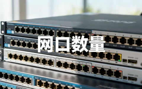 以太网服务器到底有多少个，怎么查看服务器网口数量