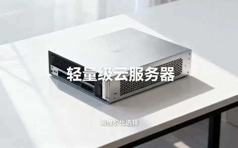轻量级云服务器有哪些选择，哪家性价比最高？