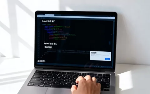 cmd中telnet域名命令到底怎么用？，端口连通性怎么测？