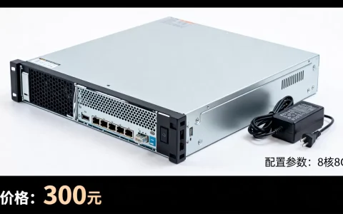韩国8核8G独立服务器300元是真的吗，怎么购买最划算