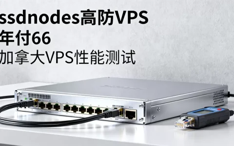 ssdnodes高防VPS年付66值不值？加拿大VPS性能如何