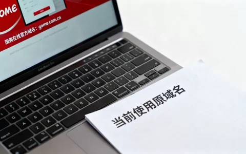 国美在线官方域名是什么，现在还使用原域名吗