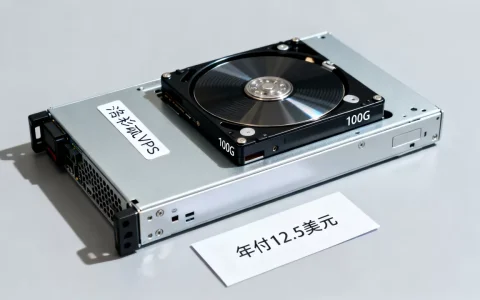 洛杉矶100G硬盘VPS年付12.5美元？，靠谱吗？