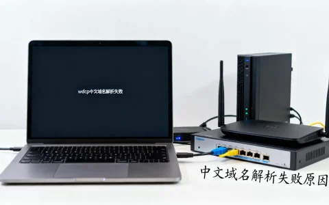 wdcp中文域名解析失败怎么办，中文域名解析失败原因有哪些