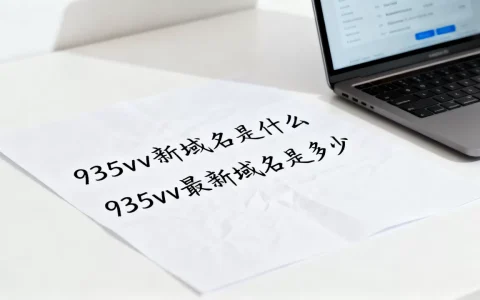935vv新域名是什么，935vv最新域名是多少？