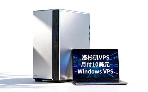 洛杉矶VPS月付10美元值不值，windows vps哪个好
